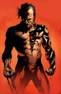 Wolverine Origins Vol 1 13 Textless