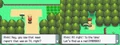 Diamond-Pearl Twinleaf Town 4.png