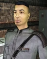 Adrenas.jpg