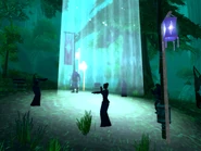 Lunar Festival 8