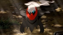 P10 Darkrai