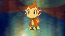P10 Chimchar de Alice
