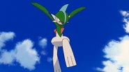 P10 Gallade