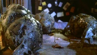 Cocoons