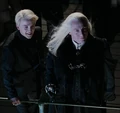 Malfoys pic2.jpg