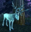 Moongraze Buck