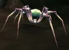 Leech Widow