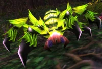 Image of Webwood Venomfang
