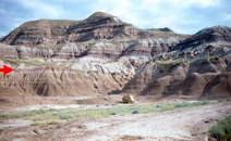 Bearpaw-Horseshoe Canyon