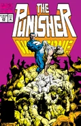 Punisher War Zone Vol 1 29