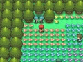 Diamond-Pearl Floaroma Town 2.png