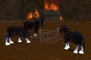 Acherus Deathchargers