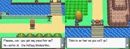 Diamond-Pearl Route 205 1.png