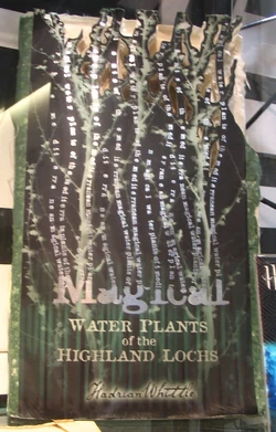 MagicalWaterPlantsoftheHighlandLochs