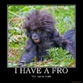 I gotz fro..jpg