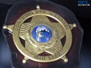 MarshalBadge SC2 Phys1