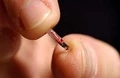 Biochip.jpg