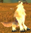 Prairie Wolf