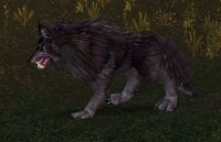 Image of Bloodsnout Worg