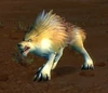 Crag Coyote