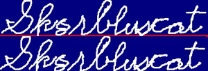 Sk8rbluscat2signature
