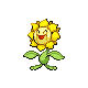 Sunflora HGSS