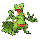 Sceptile HGSS