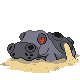 Hippowdon HGSS hembra