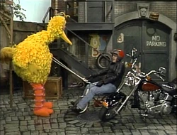 Jayleno-motorcycle