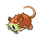 Raticate HGSS variocolor hembra