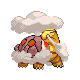 Torkoal HGSS variocolor