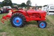 David Brown 900 - reg 4844 E - With DB Cultivator at Darley Dale 09 - IMG 9932