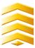 FSGTNecros