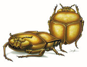 HoardScarab