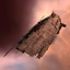 Hel