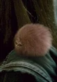 Boursouflet.jpg