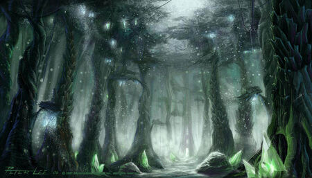 TerokkarForest