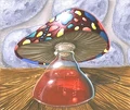Death-Cap Draught.JPG