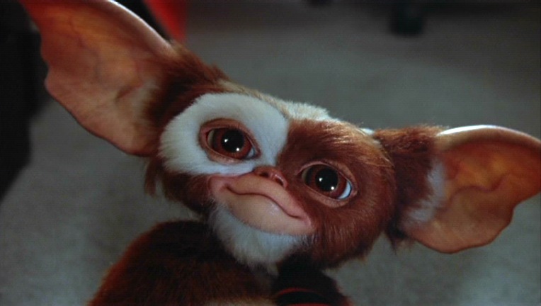 http://images2.wikia.nocookie.net/__cb20090920192845/gremlins/images/f/fa/Gizmo.PNG