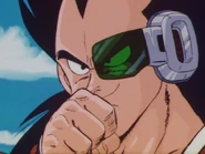 Raditz2