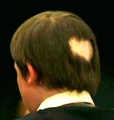 Seamus Finnigan (1991).JPG
