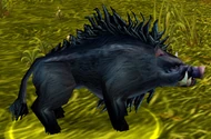 Longsnout.jpg