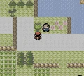 CRYSTALRoute31.png