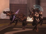 Look Up Jackals