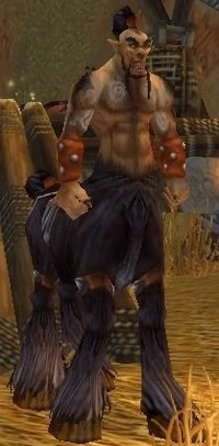 Image of Verog the Dervish
