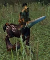 Kolkar Wrangler.jpg