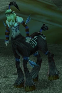 Image of Outcast Necromancer