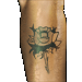 Standard 75x75 collect tattoorose 01
