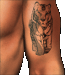 Standard 75x75 collect tattooTiger 01