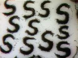 3153.Sand-S